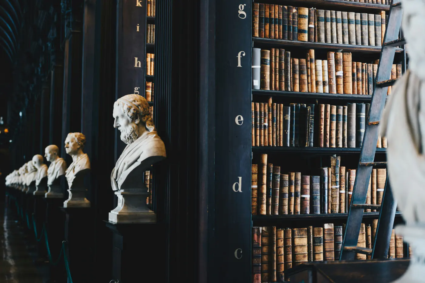 Rayonnages d'une bibliothèque ancienne, reliures de cuir alignées et bustes de marbre le long de l'allée